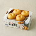 Dabok Sweetness Seonbyeol Naju Pear , 1 Pack , 3 kg(4~6 Pack ) (다복 당도선별 나주배, 1개, 3kg(4~6입))