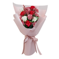 PASTEL RED