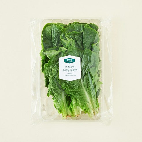Organic Green Lettuce , 120 g, 1 Pack (프리미엄 유기농 청상추, 120g, 1개)