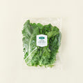 Domestic Green Lettuce , 120 g, 1 Pack (프리미엄 국내산 청상추, 120g, 1개)