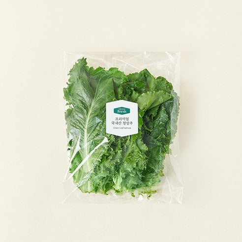 Domestic Green Lettuce , 120 g, 1 Pack (프리미엄 국내산 청상추, 120g, 1개)