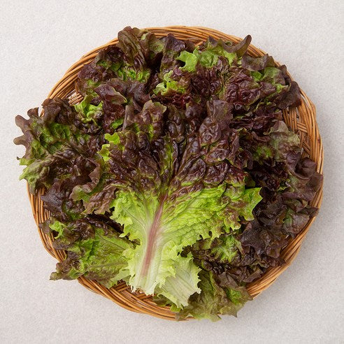 Domestic Red Lettuce (국내산 적상추)