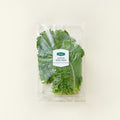 Eco-friendly Green Lettuce , 120 g, 1 Pack (프리미엄 친환경 청상추, 120g, 1개)