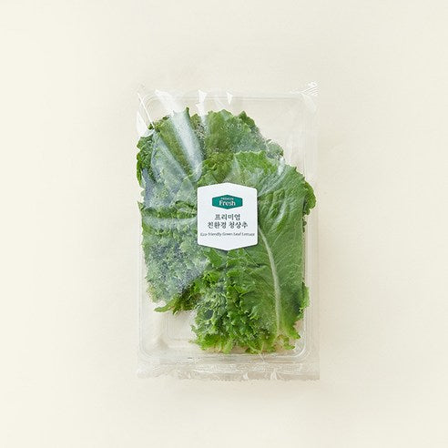 Eco-friendly Green Lettuce , 120 g, 1 Pack (프리미엄 친환경 청상추, 120g, 1개)