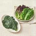 Domestic Eco-friendly Yachaemodeumssam , 300 g, 1 Pack (국내산 친환경 야채모듬쌈, 300g, 1개)