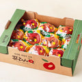 Nonghyup Daily Apple , 1 kg(5~7 Pack ), 1 Pack (프레샤인 당도선별 충주 세척 사과, 2kg(중과), 1박스)