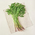 Eco-friendly Jae Water Dropwort , 200 g, 1 Bag (친환경 한재 미나리, 200g, 1봉)