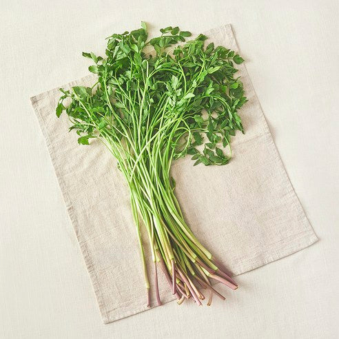 Eco-friendly Jae Water Dropwort , 200 g, 1 Bag (친환경 한재 미나리, 200g, 1봉)