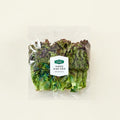 Domestic Red Lettuce , 120 g, 1 Pack (프리미엄 국내산 적상추, 120g, 1개)