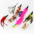 Dingdongpet Goyang Naksitdae Ripil Gitteol 6 Types Set , A, 1 Set (딩동펫 고양 낚싯대 리필 깃털)