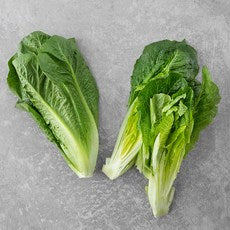 Domestic Packets Gi Romaine , 300 g, 1 Pack (국내산 포기 로메인, 300g, 1개)