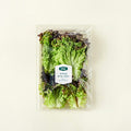 Organic Red Lettuce , 120 g, 1 Pack (프리미엄 유기농 적상추, 120g, 1개)