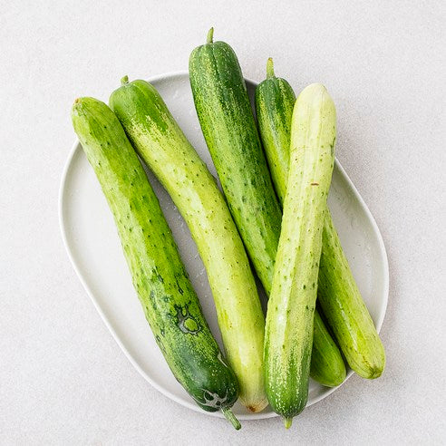 Imperfect Tasty Baek Cucumber , 5 Pack Pack , 1 Pack (못생겨도 맛있는 백오이, 5개입, 1개)