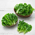Domestic Green Lettuce (국내산 청상추)