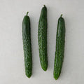 Domestic Si Cucumber , 3 Pack , 1 Pack (시)