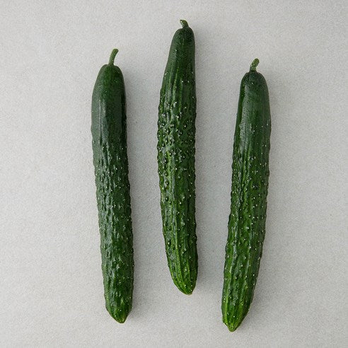 Domestic Si Cucumber , 3 Pack Pack , 1 Pack (국내산 가시오이, 3개입, 1개)
