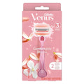 Venus , 2 Pack , 1 Pack (컴 트 글라드 화트티 여성용 기 날)
