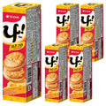 Orion Nasaendeu , 77 g, 5 Pack (나샌드)