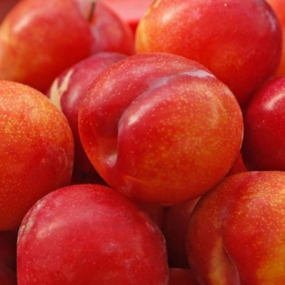 Cheotsuhwak Honey brix Cho High Sweetness Daeseok Plum , 1 Pack , 1 kg ([첫수확특가] 꿀brix 초고당도 대석 자두, 1개, 1kg)