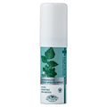 Dentiseute Beureseu Gugangseupeure , 15 ml, 1 Pack (덴티스테 브레스 구강스프레)