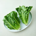 Sok Kkwakchan Romaine , 1 Pack , 300 g (속이 꽉찬 로메인, 1개, 300g)