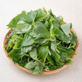 Domestic Kkaetsun , 170 g, 1 Pack (국내산 깻순, 170g, 1개)