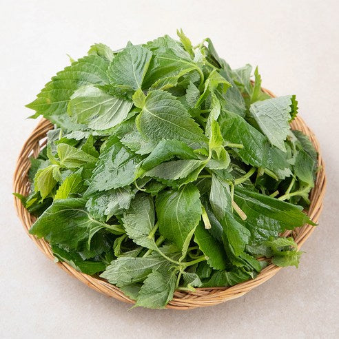 Domestic Kkaetsun , 170 g, 1 Pack (국내산 깻순, 170g, 1개)