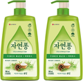 Jayeonpong Jjideunttae Geokjeongeops Solip Pawo Wash Jubang Set Je Yonggihyeong , 980 ml, 2 Pack (자연퐁 찌든때 걱정없 솔잎 파워 주방 제 용기형)