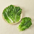 Eco-friendly Kki Green Lettuce , 80 g, 1 Pack (친환경 한끼 청상추, 80g, 1개)