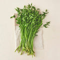 Domestic Eco-friendly Water Dropwort , 200 g, 1 Pack (국내산 친환경 미나리, 200g, 1개)