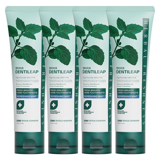 2080 Dentiripeu Guchwi Care Chiyak , 120 g, 4 Pack (덴티리프 구취 치약)