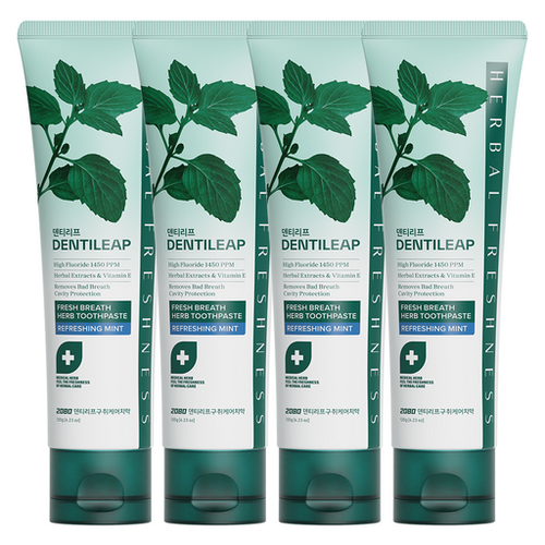2080 Dentiripeu Guchwi Care Chiyak , 120 g, 4 Pack (덴티리프 구취 치약)