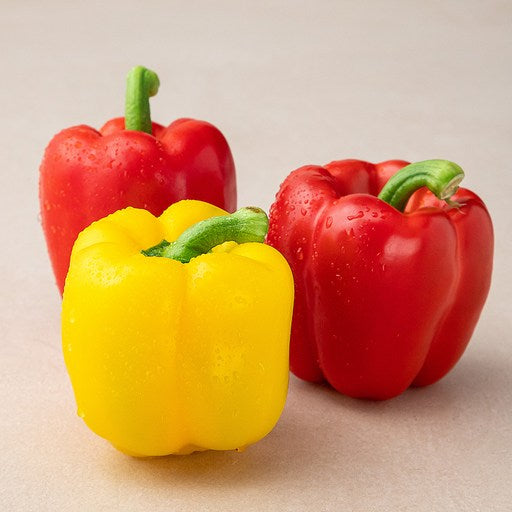 Domestic GAP Bell Pepper Honhap , 3 Pack , 1 Pack (혼합)