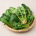Domestic Sigeumchi , 300 g, 1 Pack (국내산 시금치, 300g, 1개)