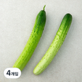 Domestic Baek Cucumber , 2 Pack , 2 Pack (백)