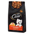 Sijeo Eodeolteu Gangaji Geonsiksaryo , Chil Noodles Jo , 1 kg, 1 Pack (시저 어덜트 강아지 건식사료 칠 조)