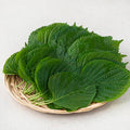 GAP Miryang Perilla Leaves , 500 g, 1 Pack (GAP 밀양 깻잎, 500g, 1개)