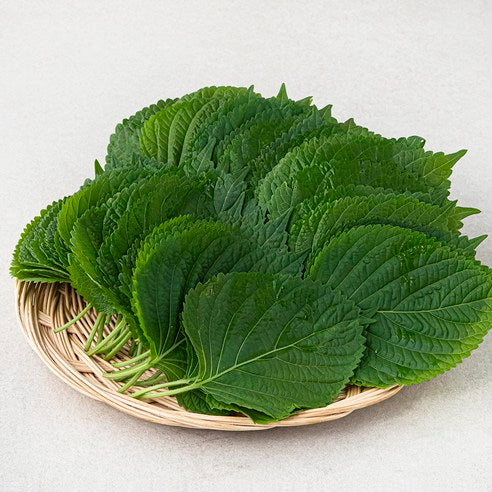 GAP Miryang Perilla Leaves , 500 g, 1 Pack (GAP 밀양 깻잎, 500g, 1개)