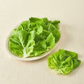 Eco-friendly Injeung Ssamyong Butter Hedeu , 100 g, 1 Pack (친환경 인증 쌈용 버터헤드, 100g, 1개)