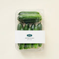 Mini Cucumber , 50 g, 10 Pack , 1 Pack (프리미엄 미니오이, 50g, 10개입, 1개)