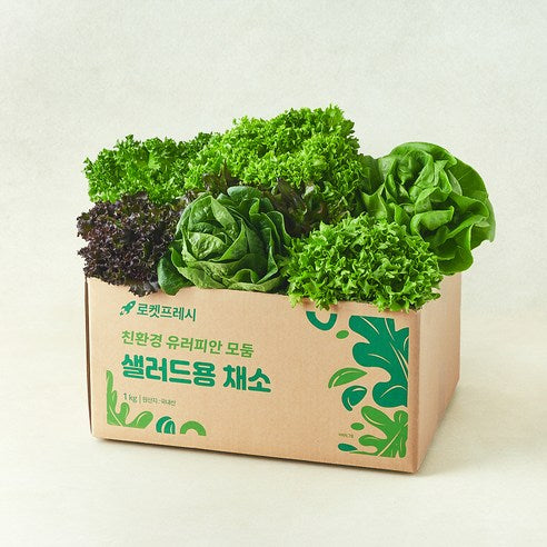 Eco-friendly Yureopian Modum Saelreodeuyong Chaeso , 1 kg, 1 Pack (친환경 유러피안 모둠 샐러드용 채소, 1kg, 1개)