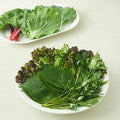 Danggwi Pumeun Modeumssam 6 Types , 1 Set , 300 g (당귀 품은 모듬쌈 6종, 1세트, 300g)