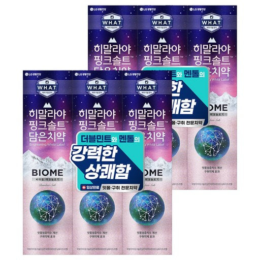 Himalraya Pink Solteu Dameun Baom Itmom Guchwijeonmun Chiyak , 160 g, 6 Pack (히말라야 솔트 담은 바옴 잇몸 구취전문 치약)