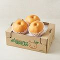 Wonnongsan Dae King Pear 3 Pack Pack , 1 Pack , 3 kg (원농산 대왕배 3개입, 1개, 3kg)