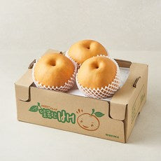 Wonnongsan Dae King Pear 3 Pack Pack , 1 Pack , 3 kg (원농산 대왕배 3개입, 1개, 3kg)