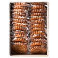 Honey Guma Glutinous Rice Honey Yak , 40 g, 1 Box (구마 약)