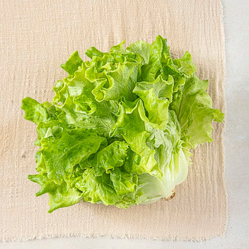 Domestic Kapira , 200 g, 1 Pack (국내산 카이피라, 200g, 1개)