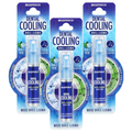Perio Dental Cooling Mauseu Seupeure Ice Mint , 6.2 ml, 3 Pack (페리오 덴탈 마우스 스프레)