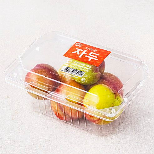 Dajoeun Gimcheon Plum (4~6 Pack ), 300 g, 1 Pack (다조은 김천 자두(4~6입), 300g, 1팩)