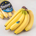 Seutelrana Beteunamsan Banana , 1 kg, 1 Pack (스텔라나 베트남산)